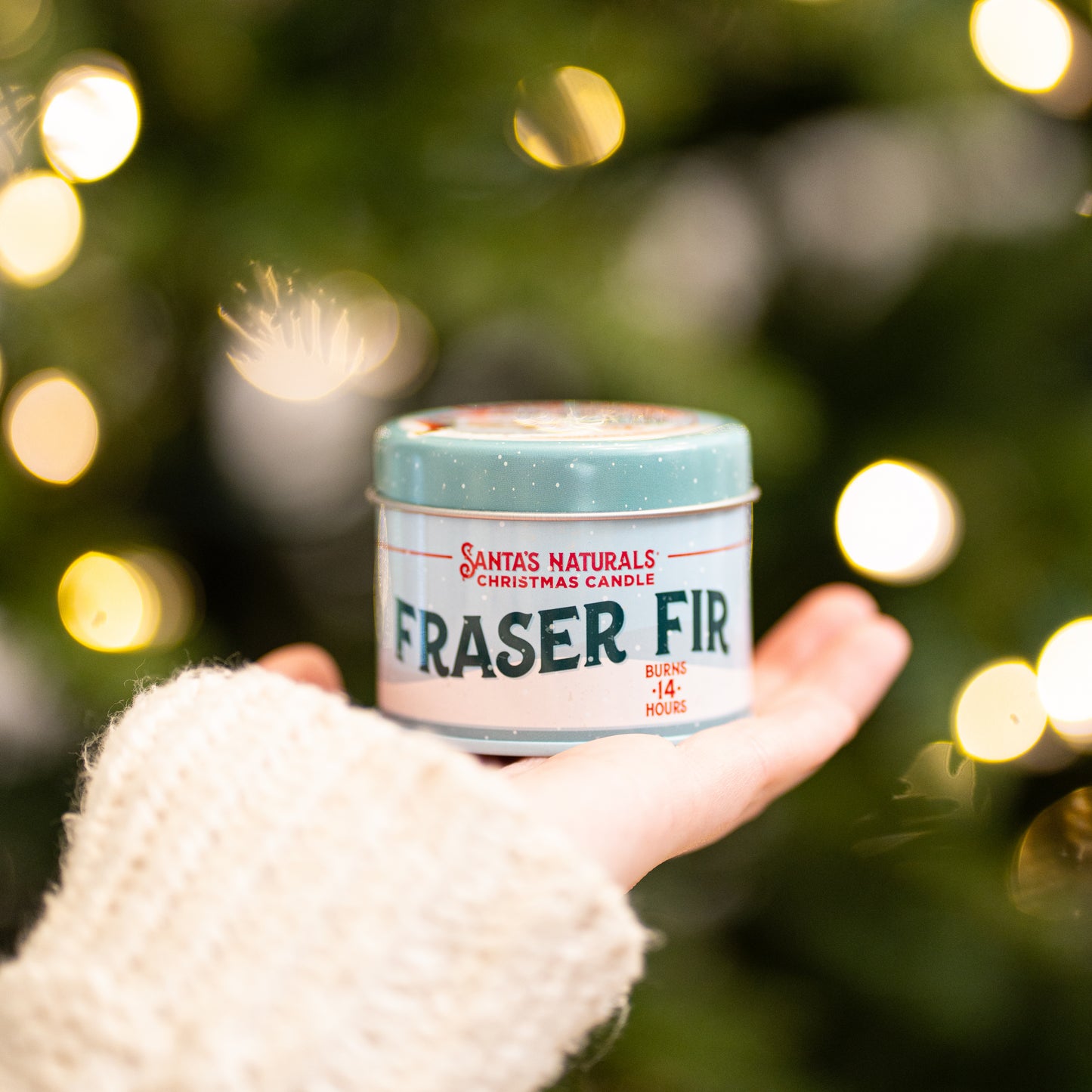 Fraser Fir Mini Trio Candles